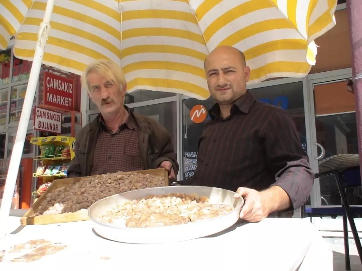 Çam Sakızı, Çoban Armağanı Deyip Geçmeyin