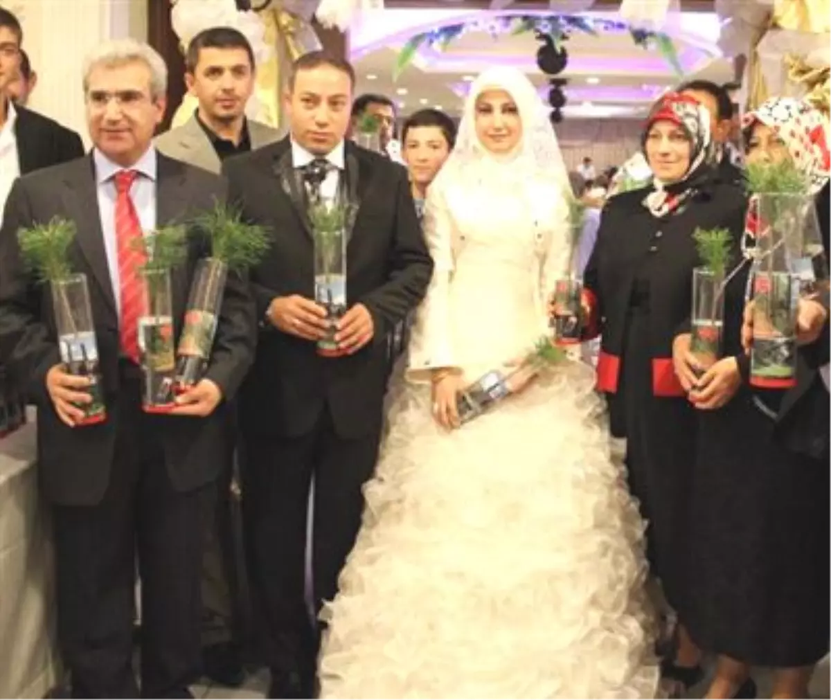 Düğünde "Nikah Şekeri" Yerine "Çam Fidanı" Dağıtıldı