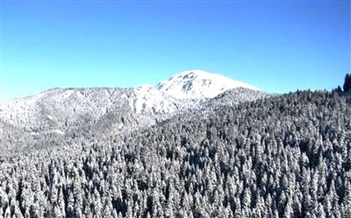 Ilgaz\'a Yılın İlk Karı Yağdı