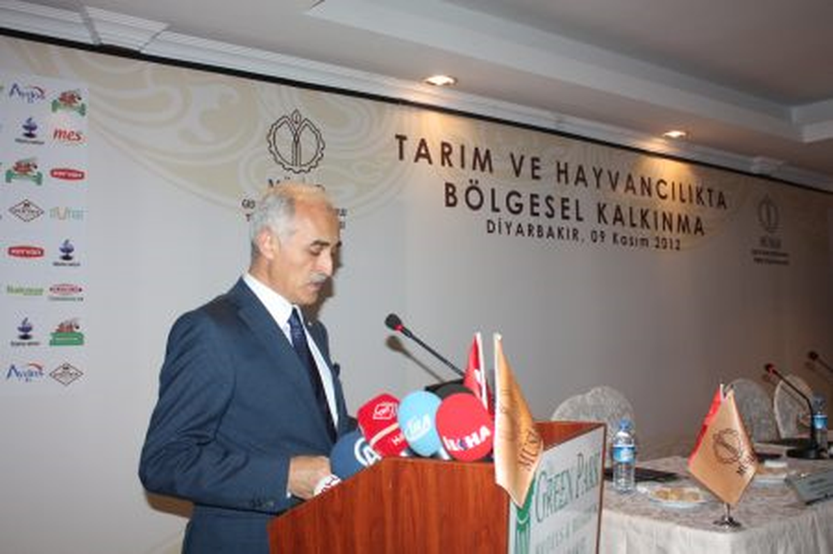 "Riskler, Sorunlar ve Çözümler"