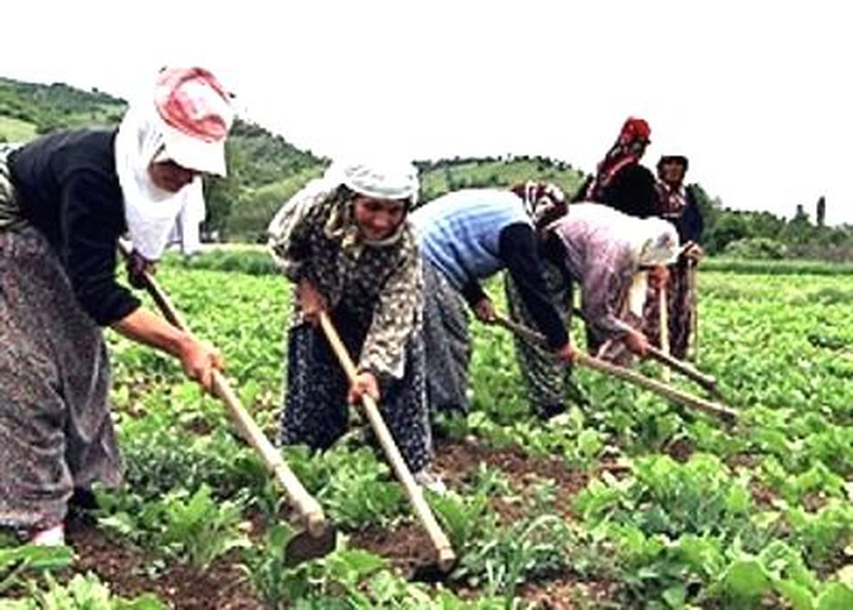 Tarımın Sultanlarına Eğitim