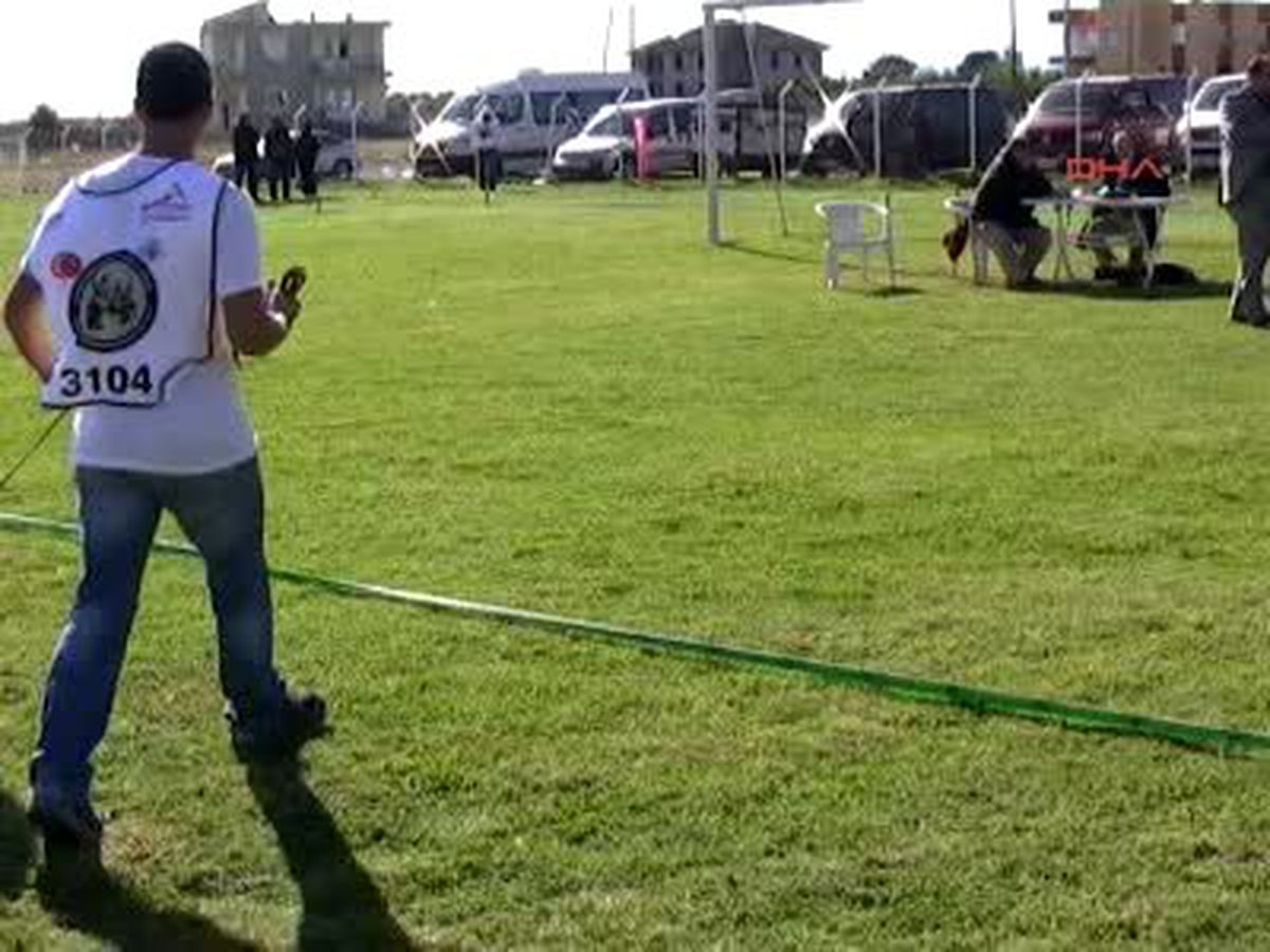 Antalya Alman Çoban Köpekleri Yarıştı