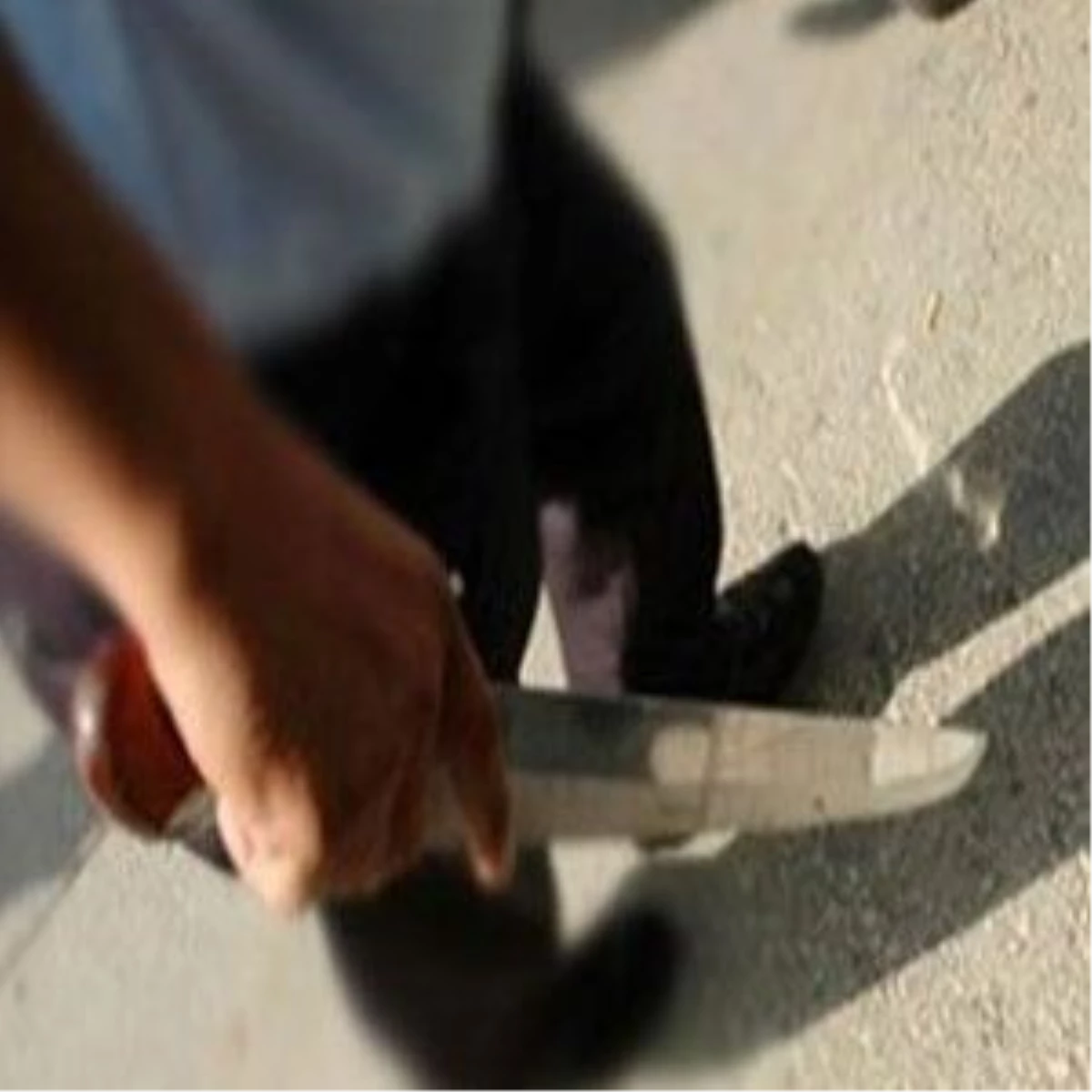 Nusaybin\'de Bıçaklı Kavga: 1\'i Polis 3 Yaralı