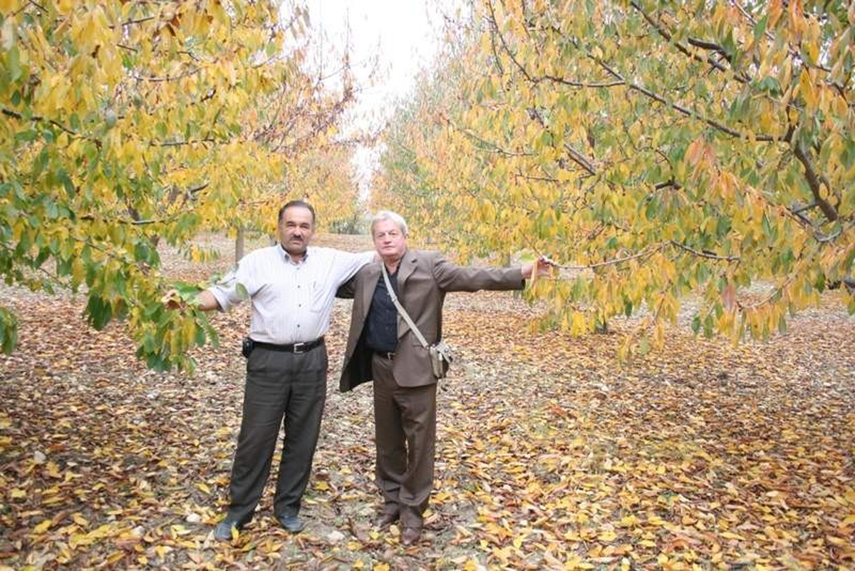 "Termik Santral Faydadan Çok Zarar Getirecek"