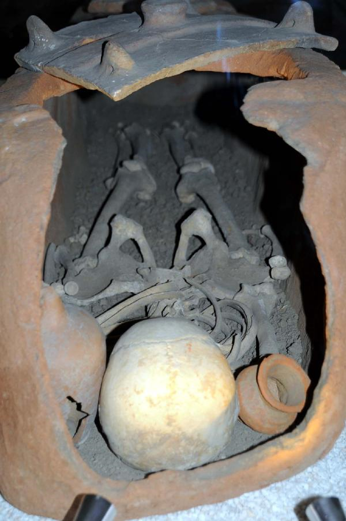 2 Bin İskelet İlgi Çekiyor