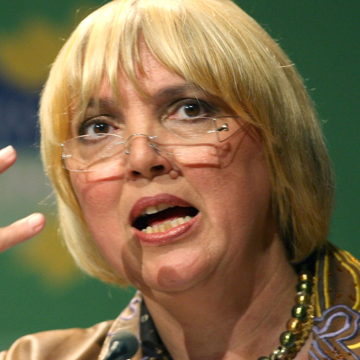 Claudia Roth Yeniden Aday