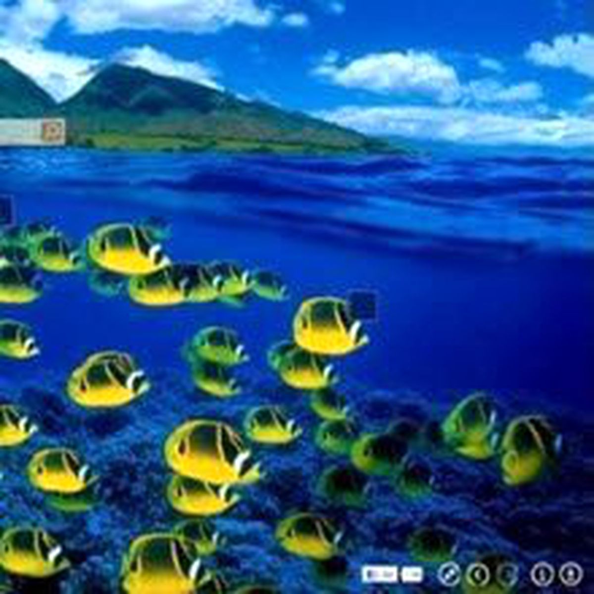 Bing\'den yeni hamle!