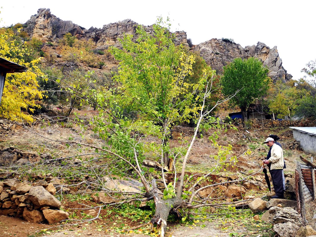 Tunceli\'de Facia Ucuz Atlatıldı
