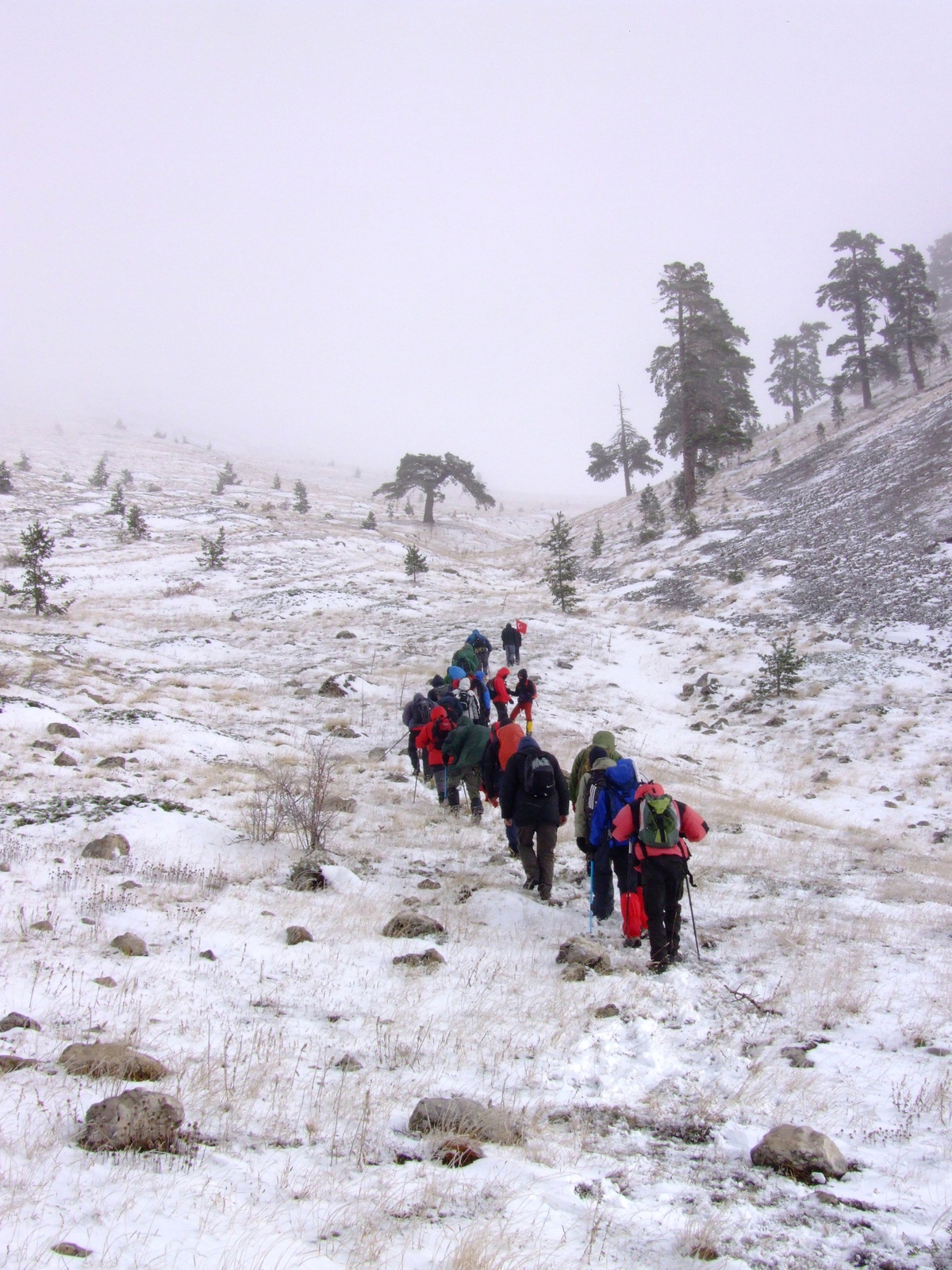 Ereğli İtfaiyesi ve Eridak Ilgaz Dağında