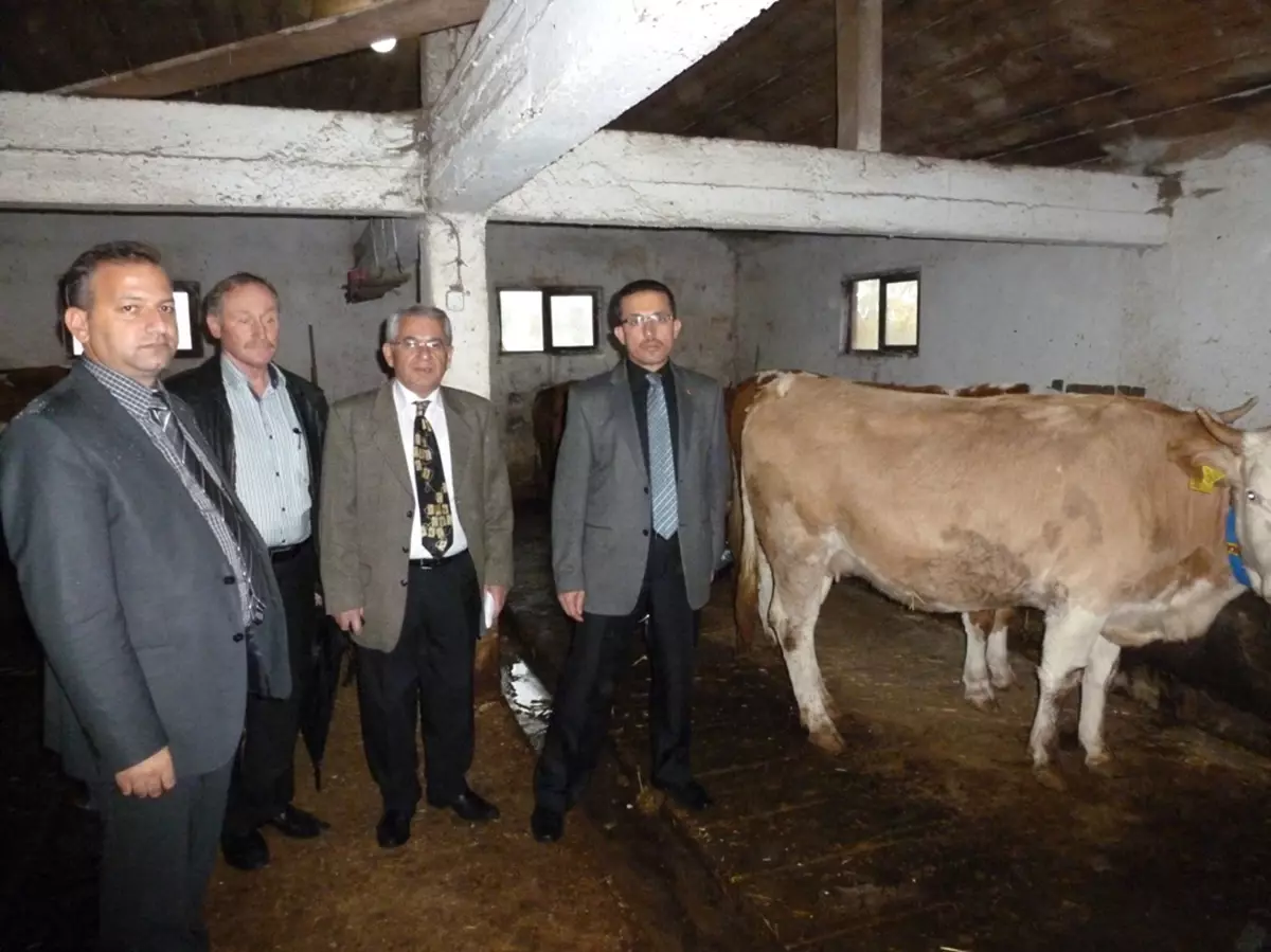 Gıda, Tarım ve Hayvancılık İl Müdürü Yaman, Örencik Köyünü Ziyaret Etti