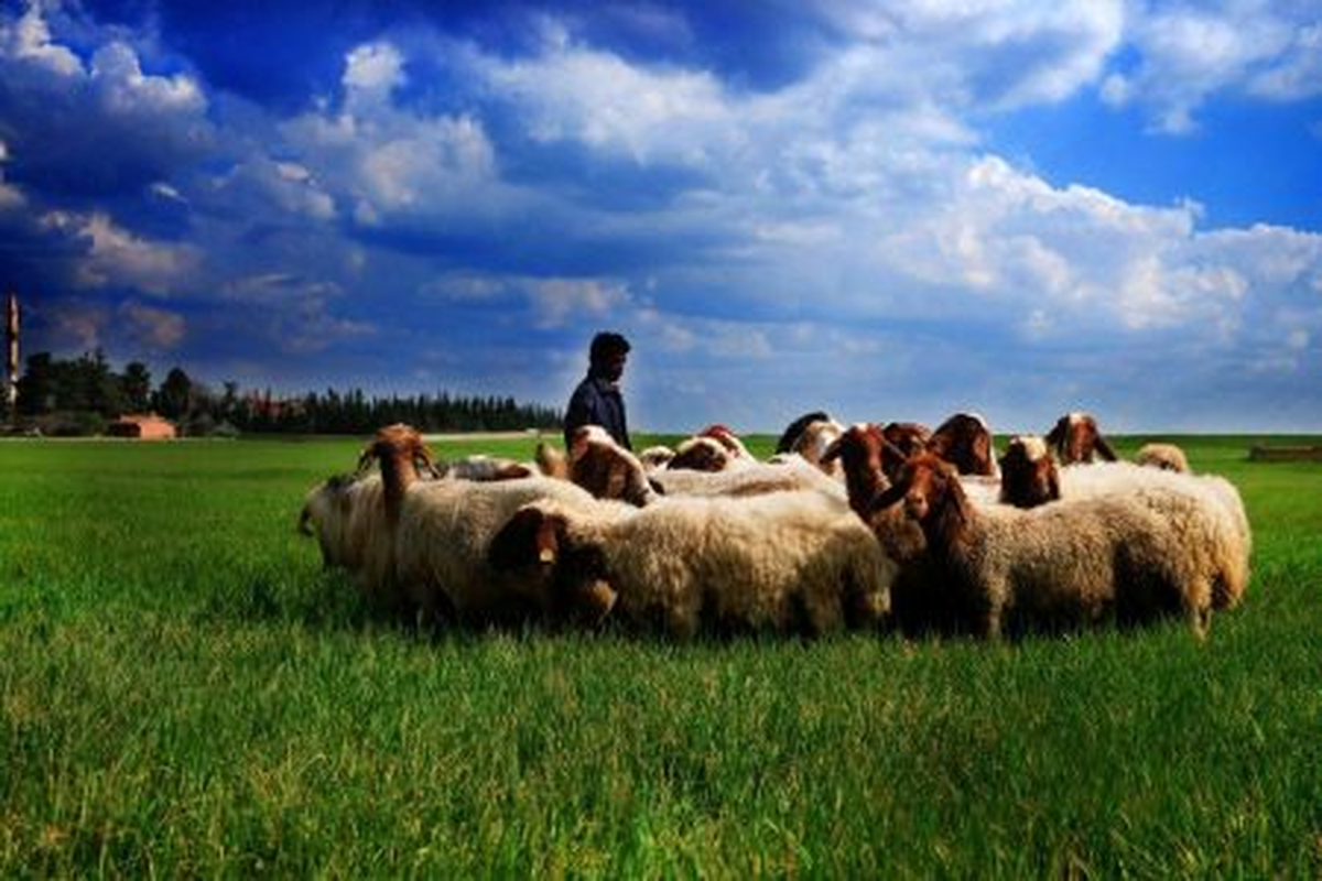 PhotoWorld 2. Karma Öğrenci Fotoğraf Sergisi