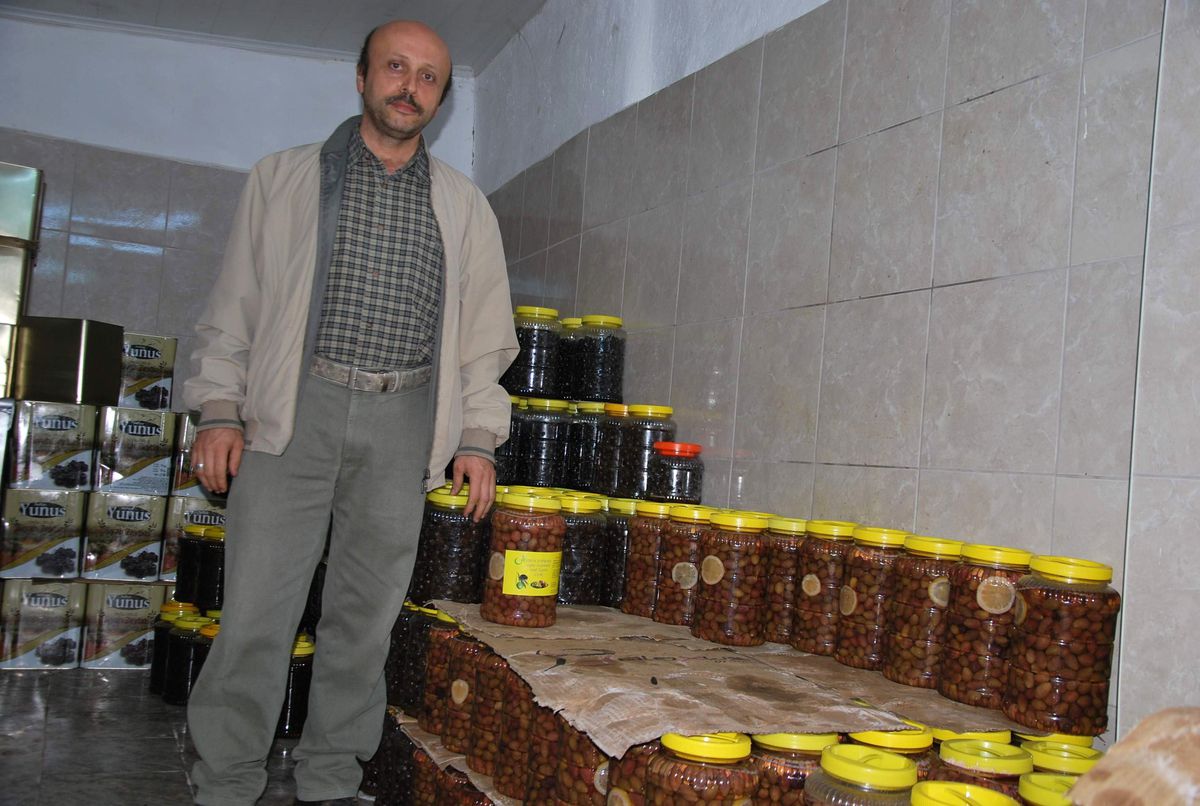 Zeytinin Her Şeyi İlaç Gibi