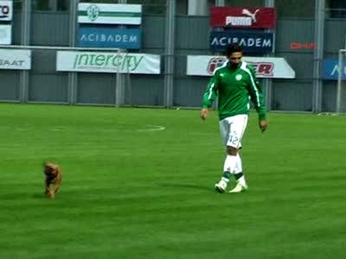 Bursaspor, Orhangazispor\'a 3 Attı