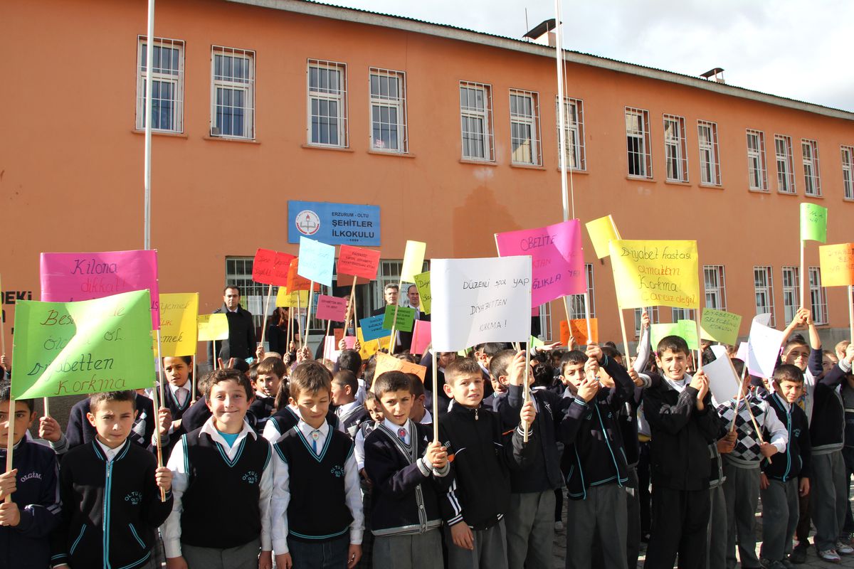 Diyabet İçin Yürüdüler