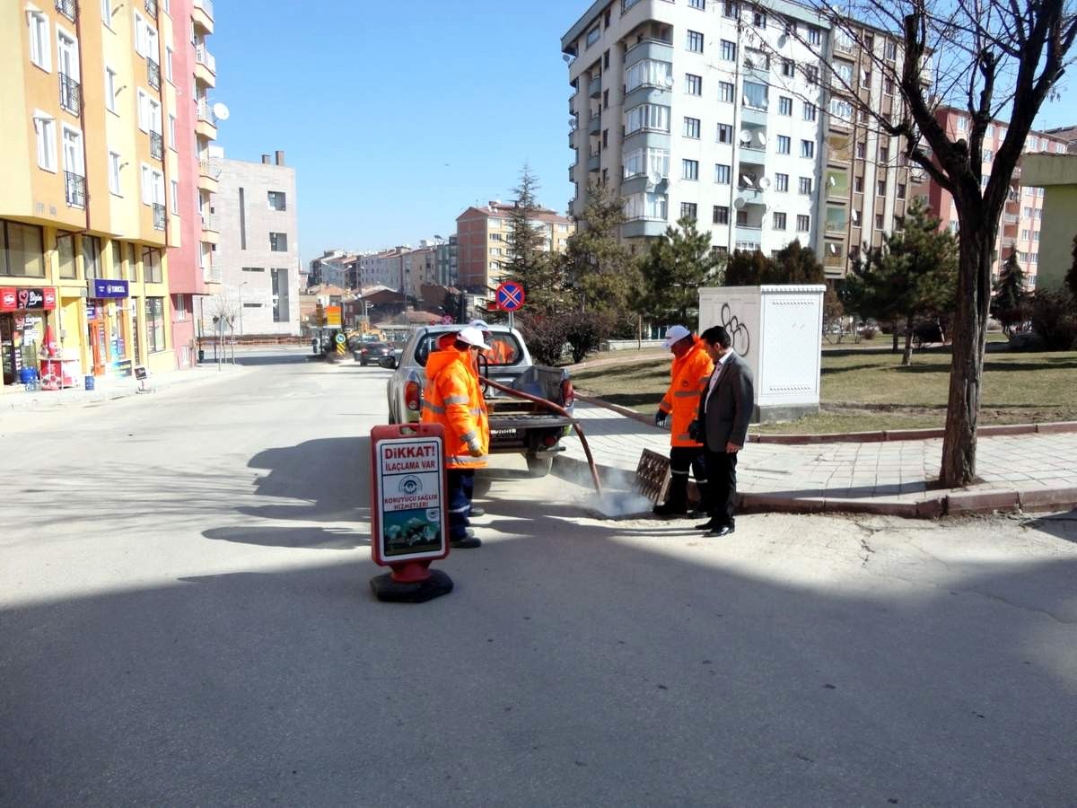 Haşereler Sıcak Termal Sisleme Yöntemiyle Yok Ediliyor