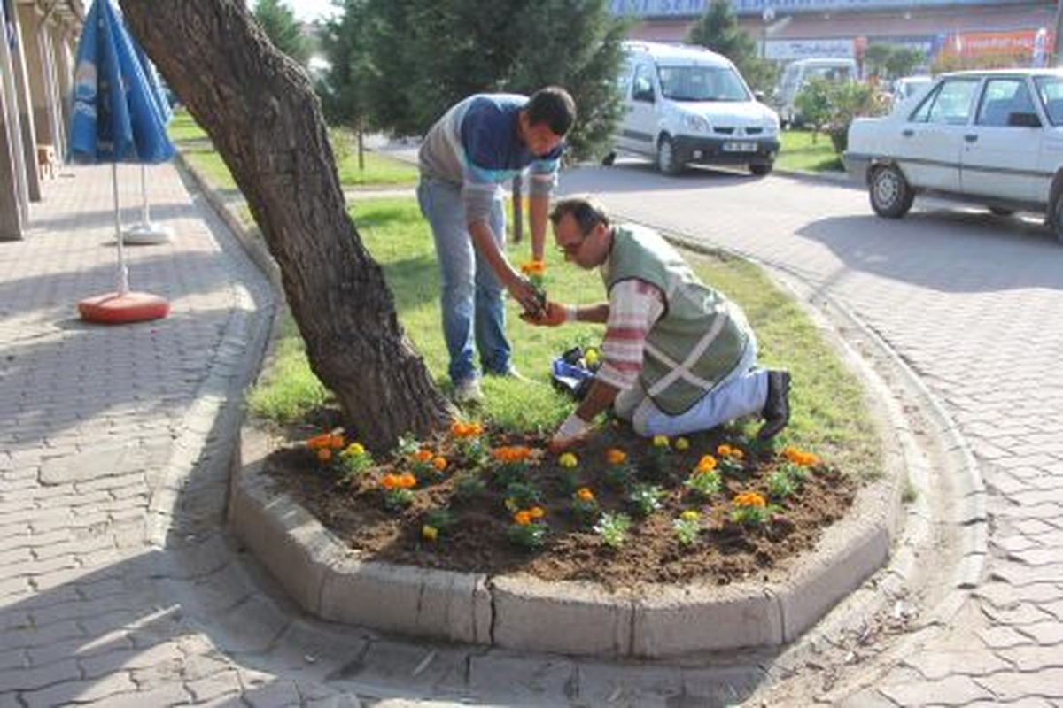 Kırklareli\'nde Temizlik ve Çiçek Ekimi