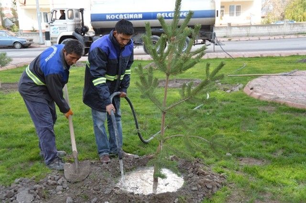 Kocasinan Belediyesi 9 Bin Fidan Dikti