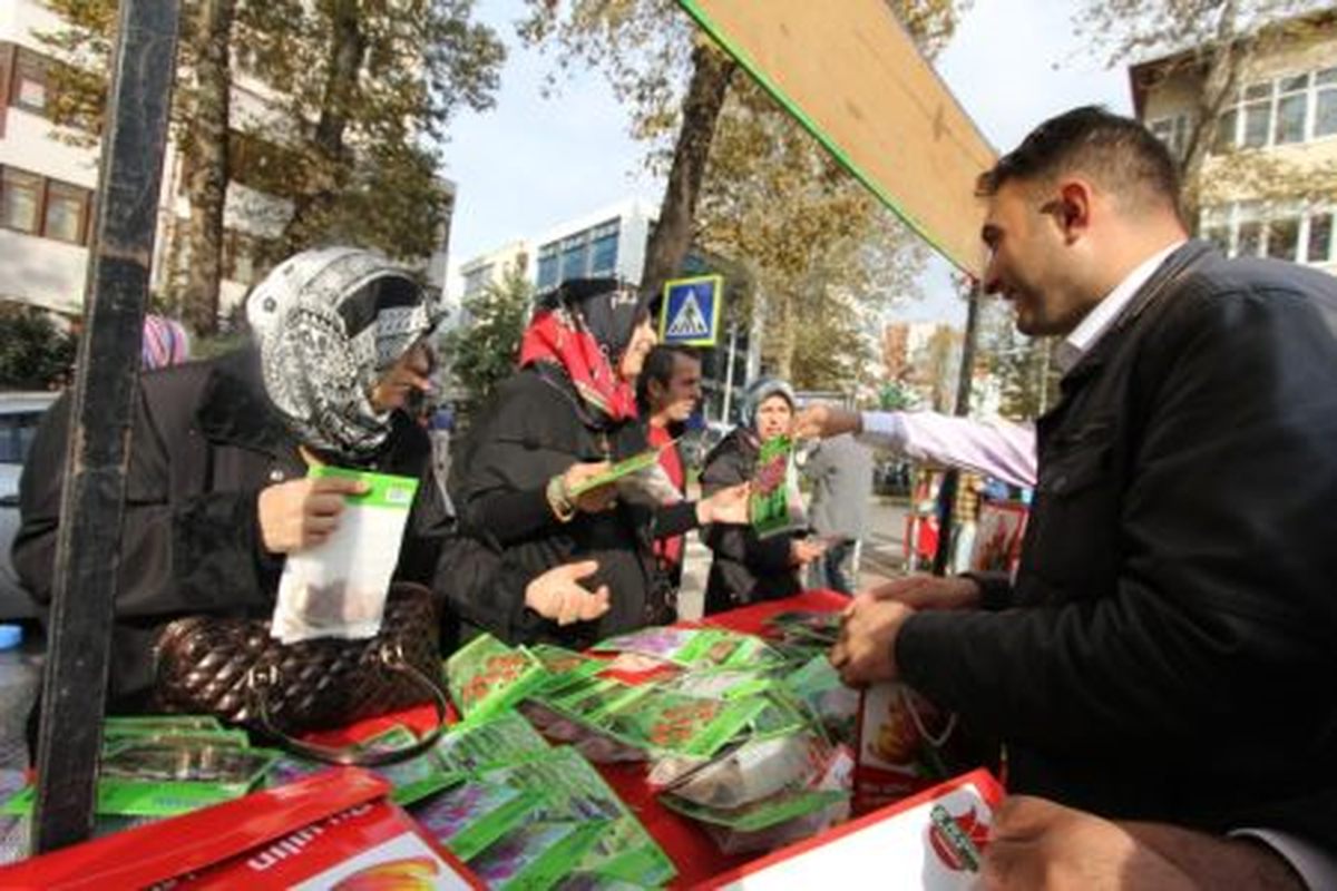 Lale Satışları 14 Noktada Başladı