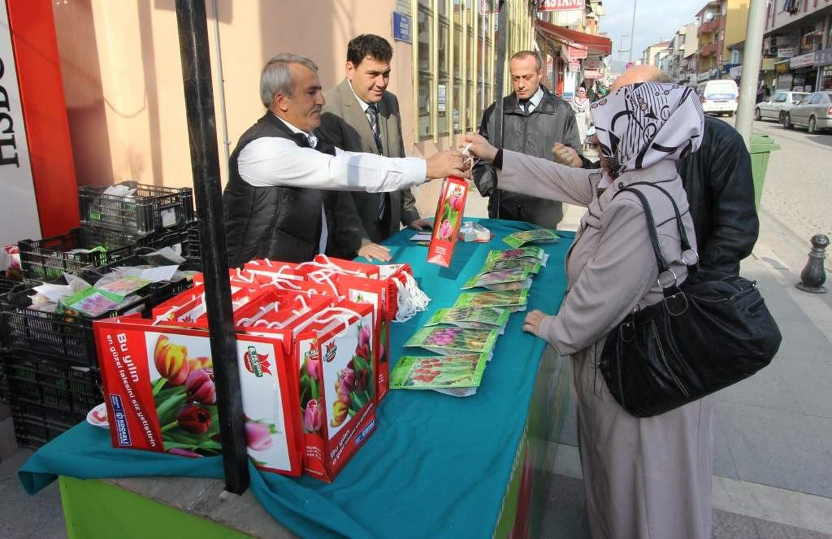 Lale Satışları Başladı
