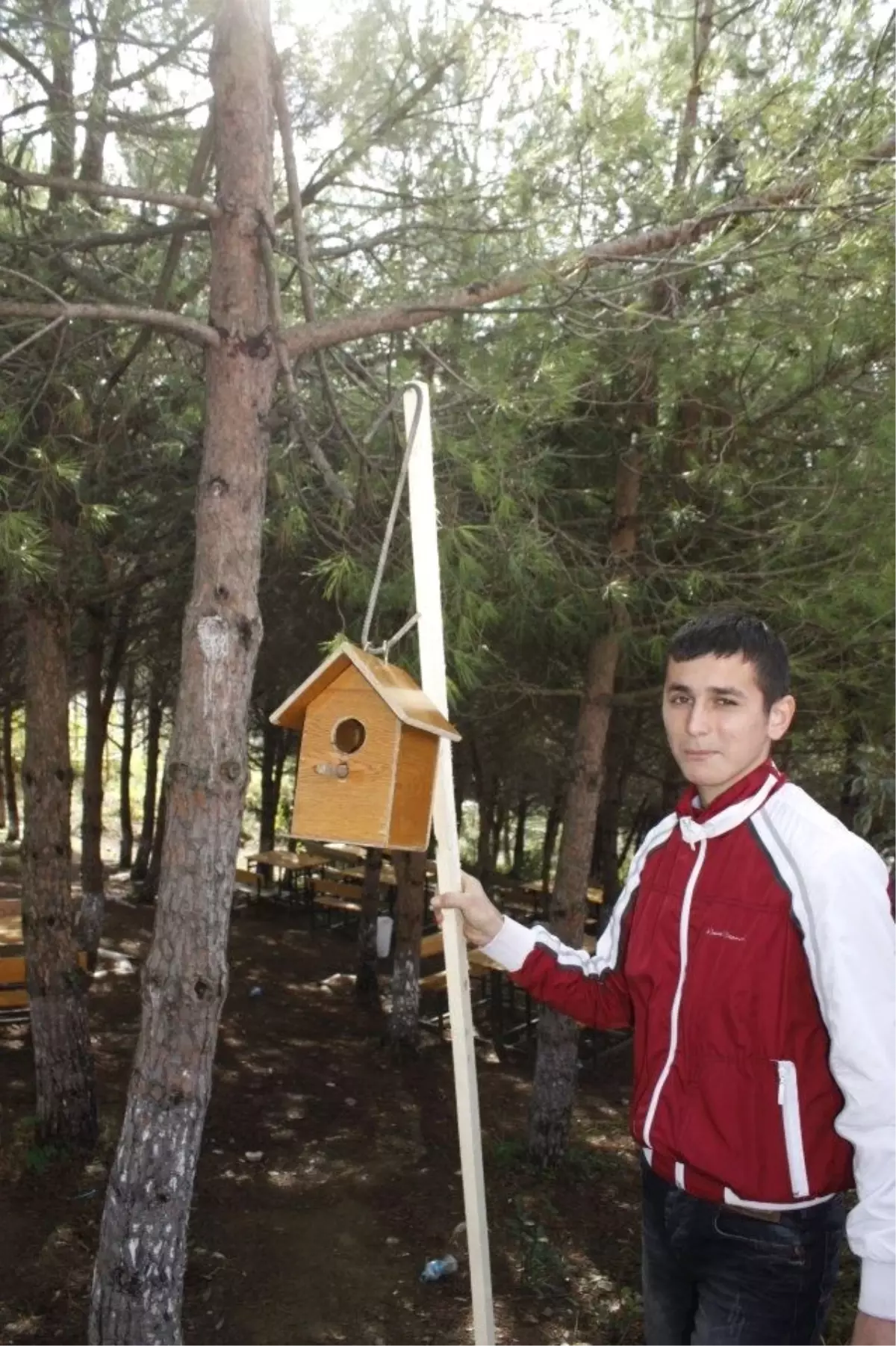 Üniversite Öğrencilerinden Kuş Yuvası Projesi