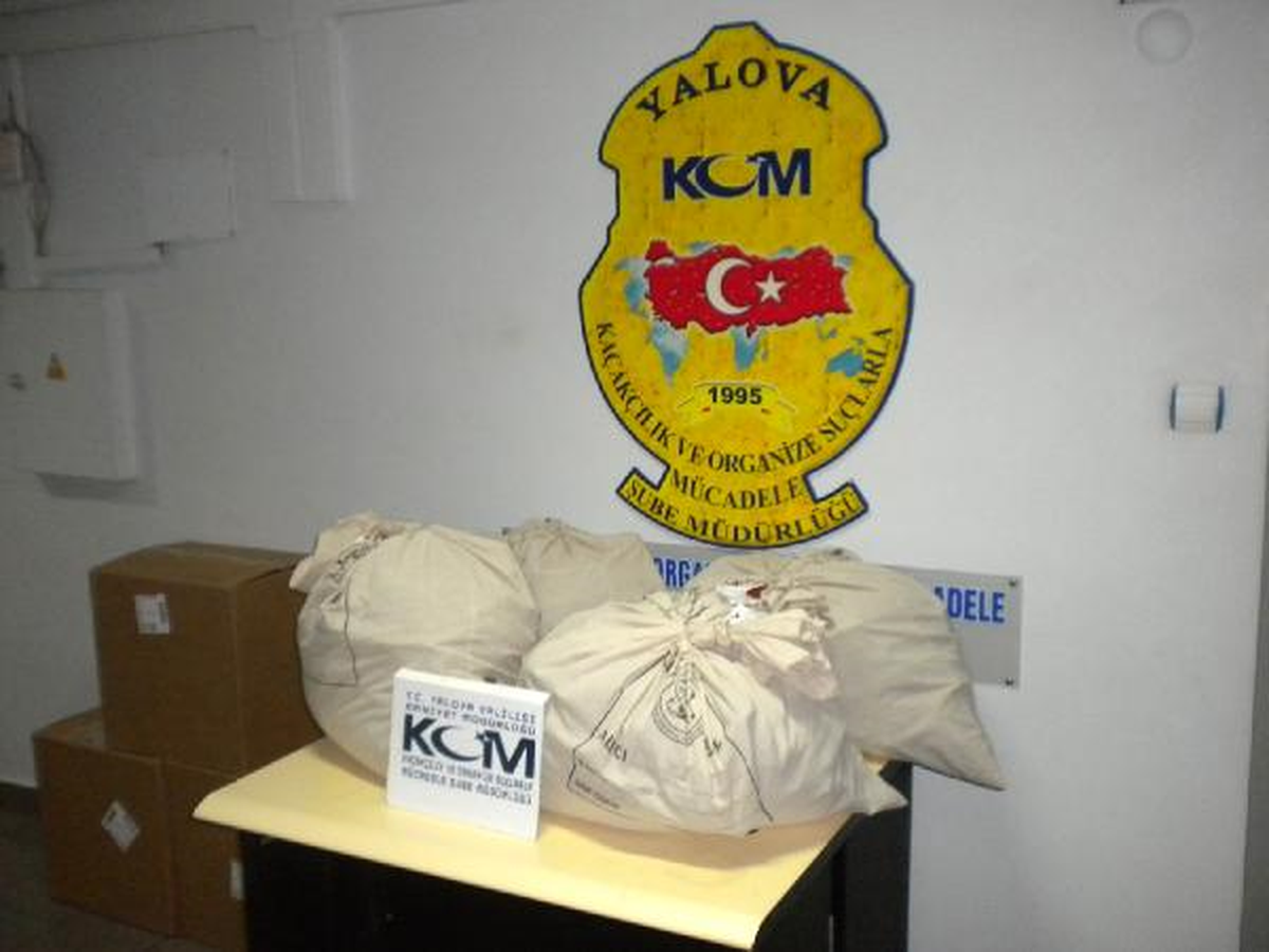 Yalova\'da 115 Kilogram Esrar Ele Geçirildi