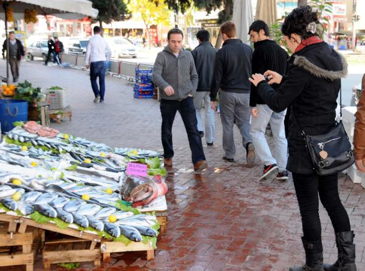 Almus Barajı\'nda 2 Metre 15 Santimlik Yayın Balığı Yakalandı