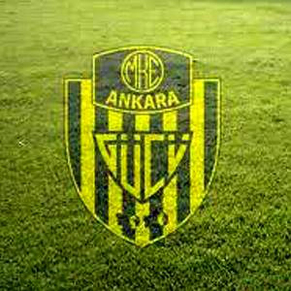Ankaragücü\'nde Sular Durulmuyor