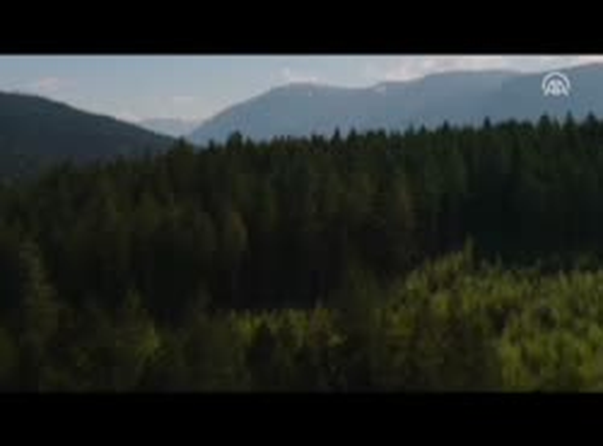 Bu Hafta 5 Yeni Film Vizyonda