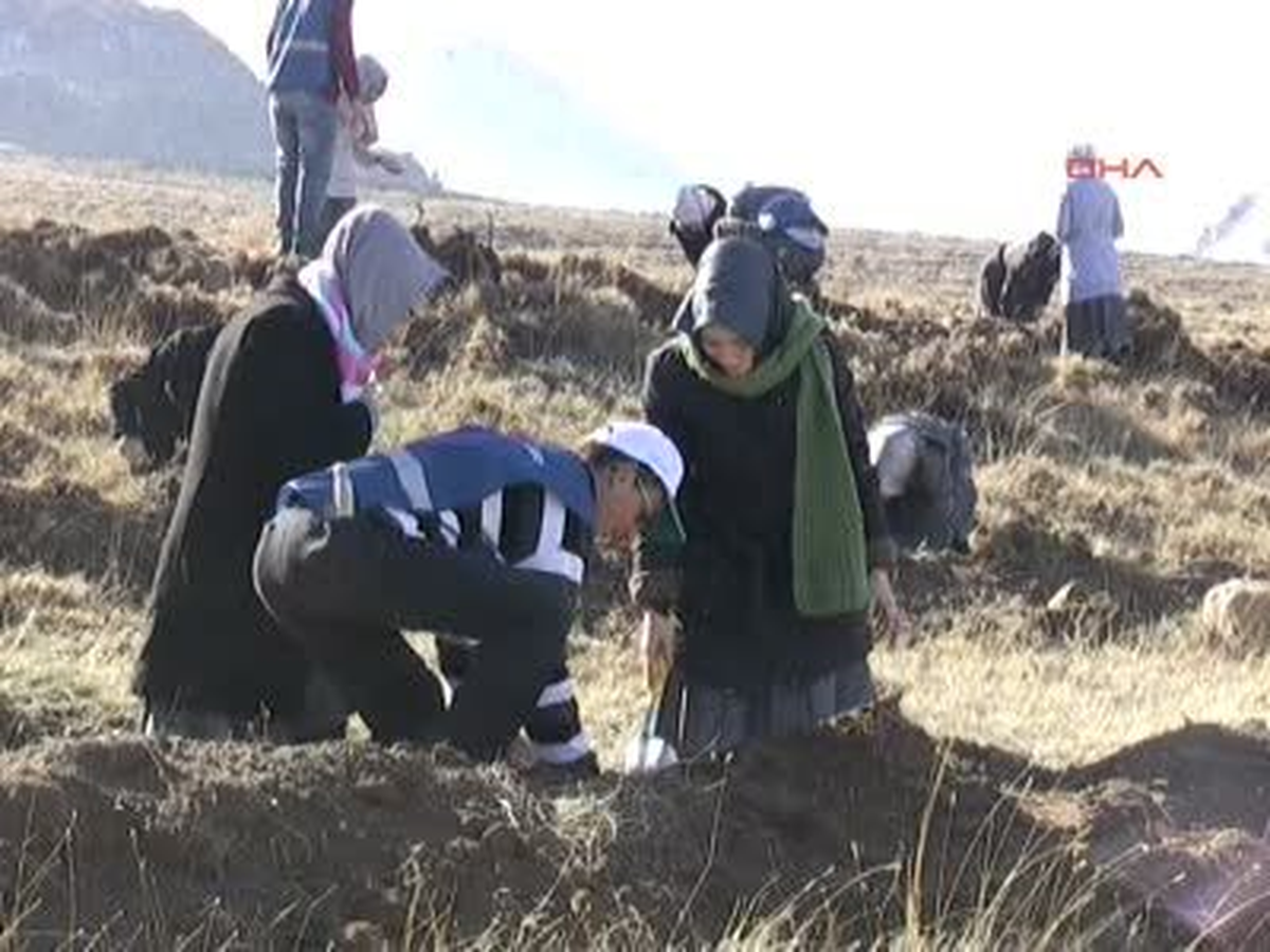 Erciyes Dağı Eteklerine 60 Bin Fidan Dikildi
