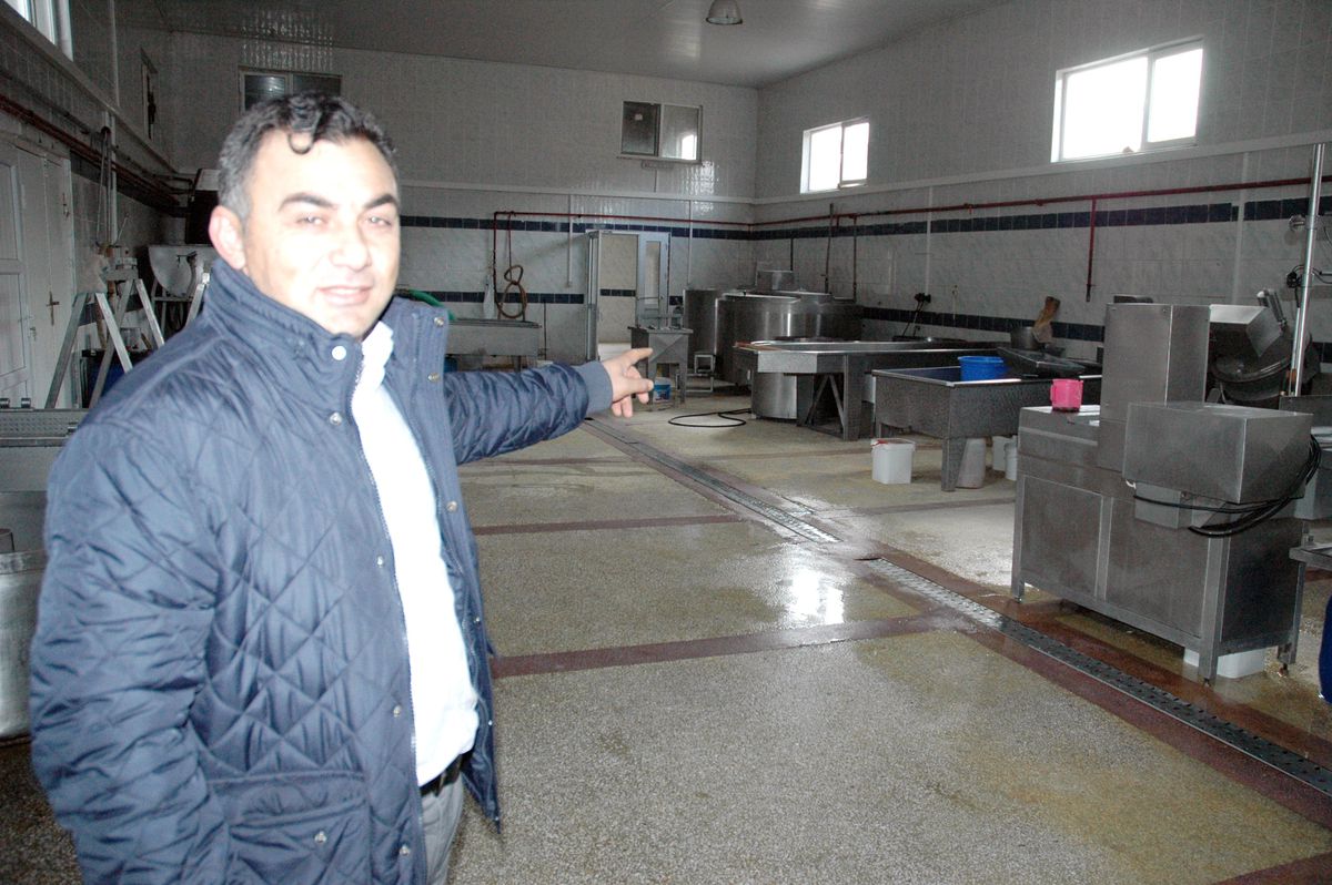 Erzurum Kaşar Peyniri Tescillenecek