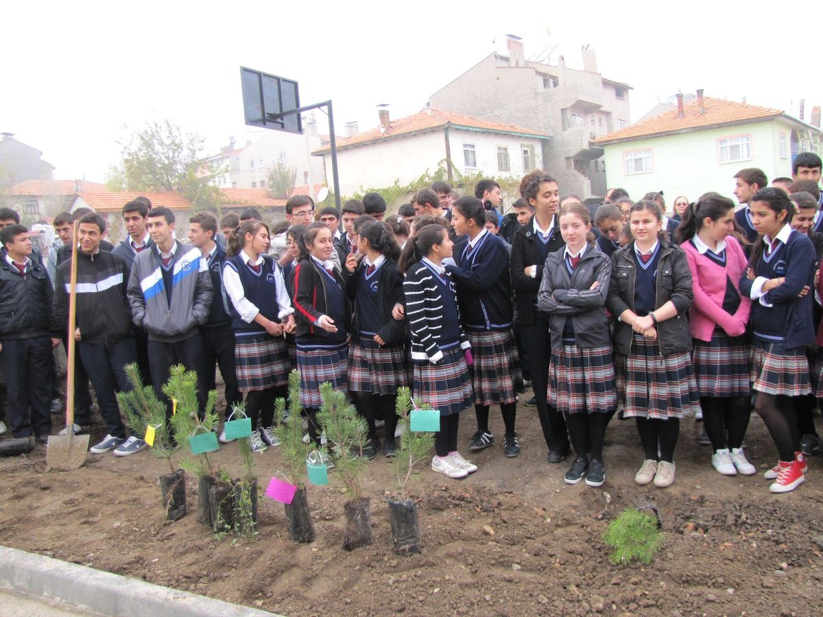 Eş Zamanlı Fidan Dikimi