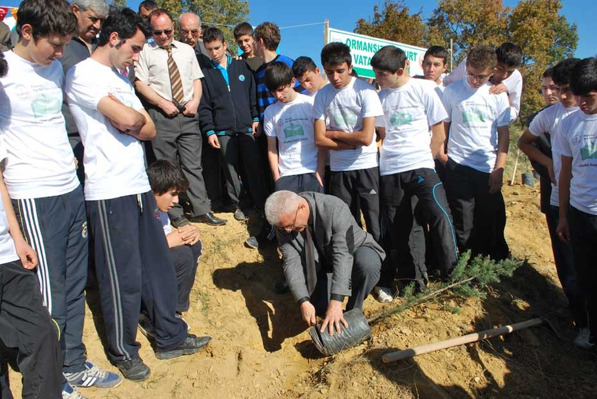 Eş Zamanlı Fidan Dikimi