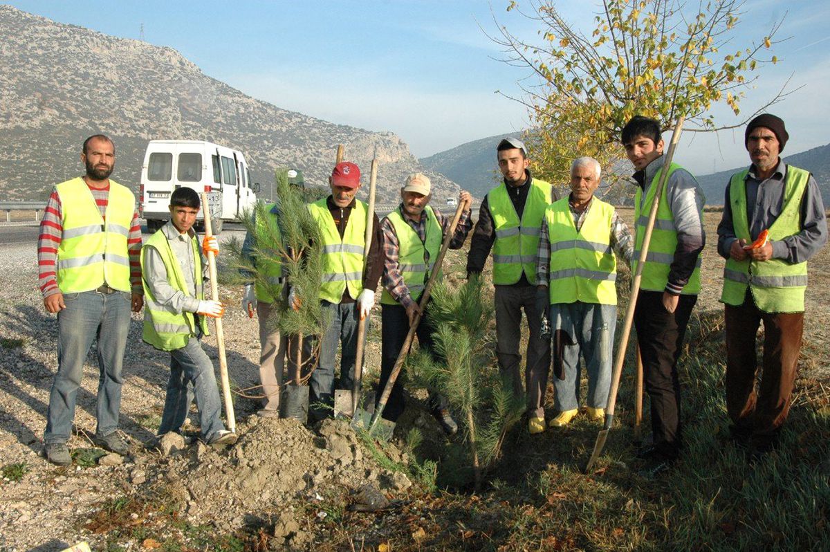 Karayollarında Ağaçlandırma Çalışmaları Devam Ediyor