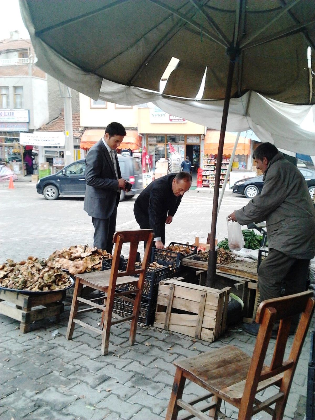 Kaymakamın Mantar Tutkusu