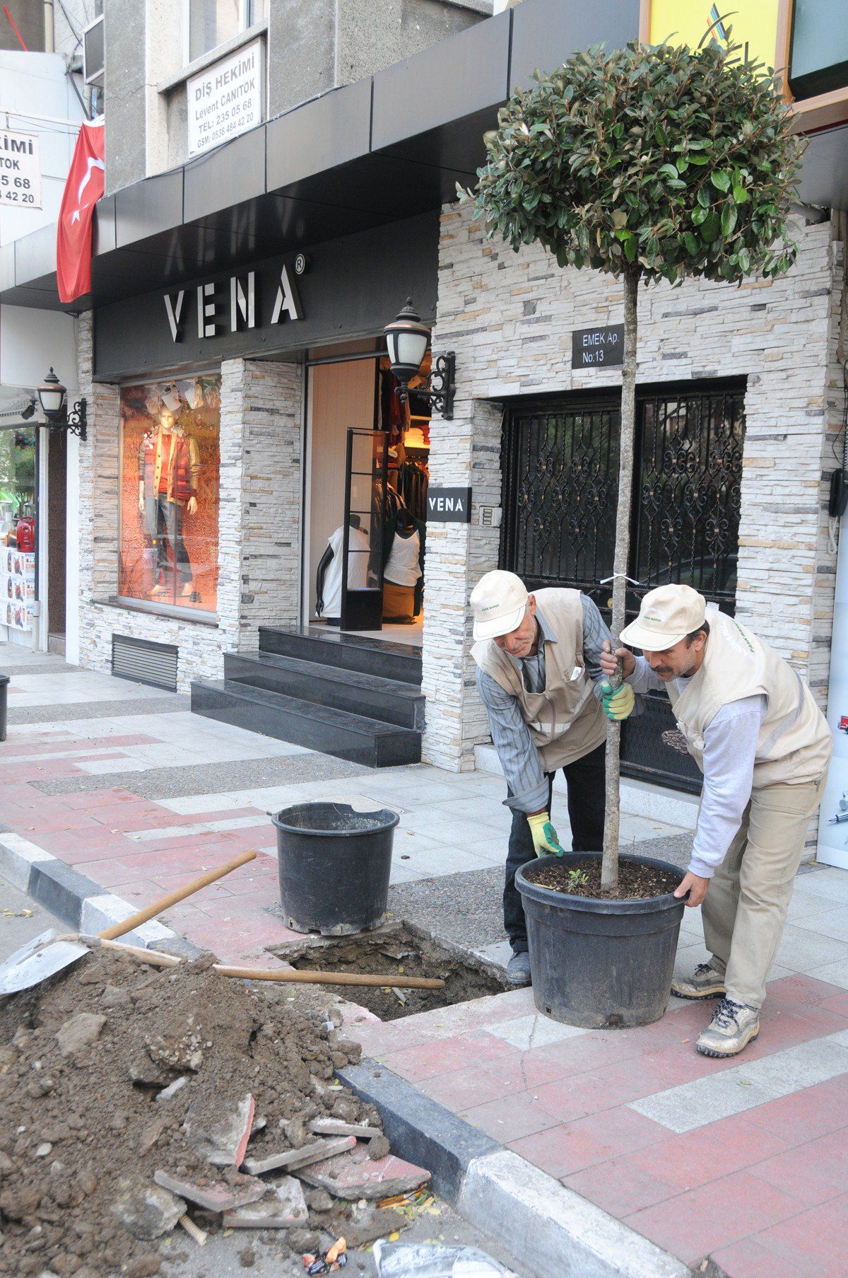 Manisa Belediyesi Ağaçları Yeniliyor