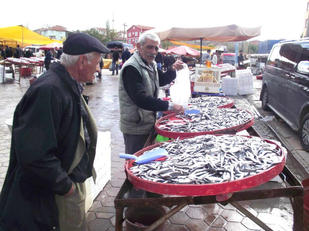 Sarıkaya\'da Haftada 2 Ton Balık Tüketiliyor