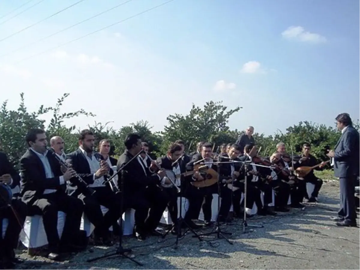 'Turunçgil Festivali Hasat Şenliği'