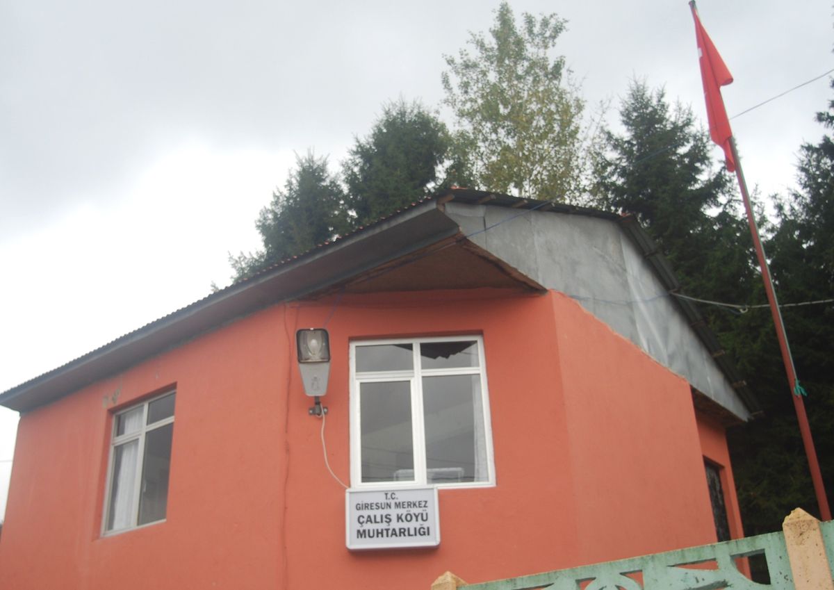Yakında Şehirli Olacaklar