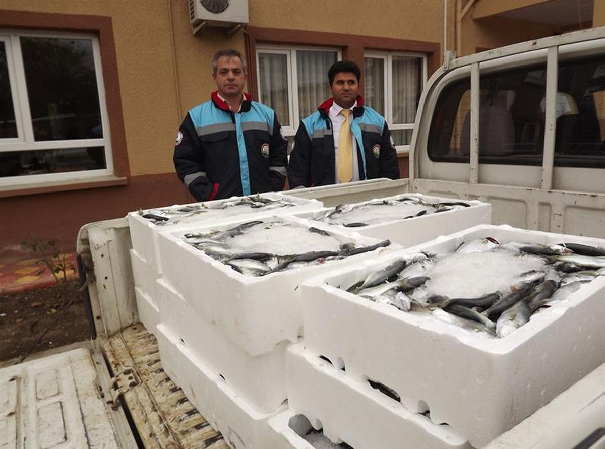 Balığın Boyunu Ölçtüler