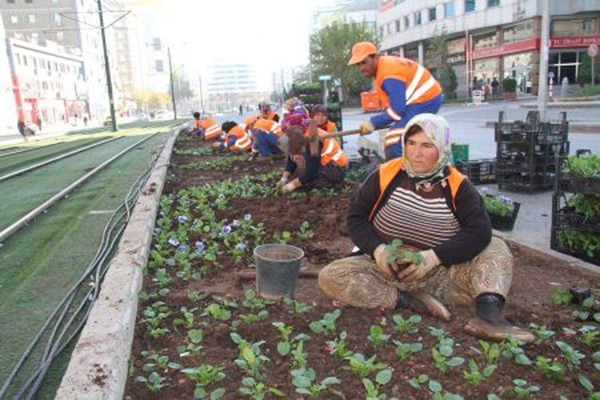 Gaziantep\'te 1 Milyon Çiçek Açacak