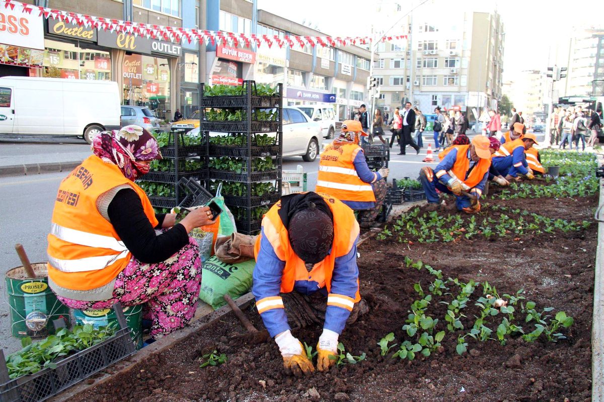 Gaziantep\'te 1 Milyon Çiçek Açacak