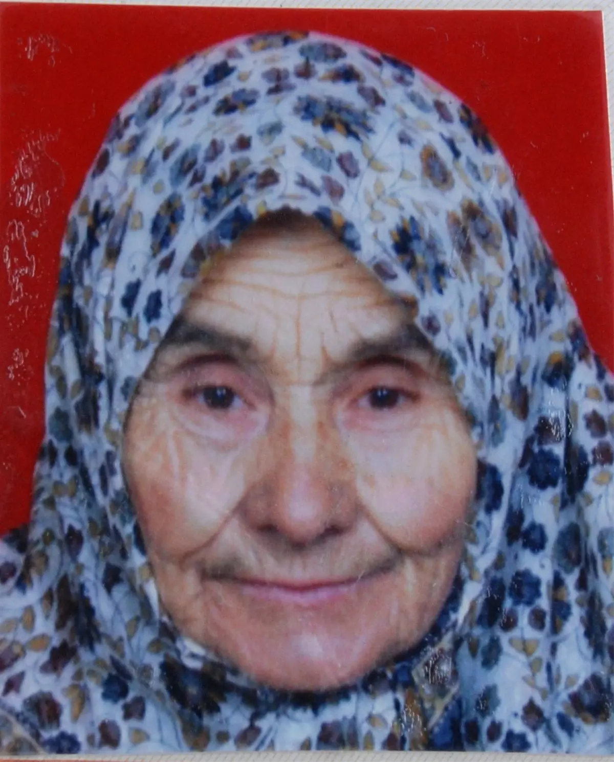 Mantar Toplamaya Giden Kadın Kayboldu