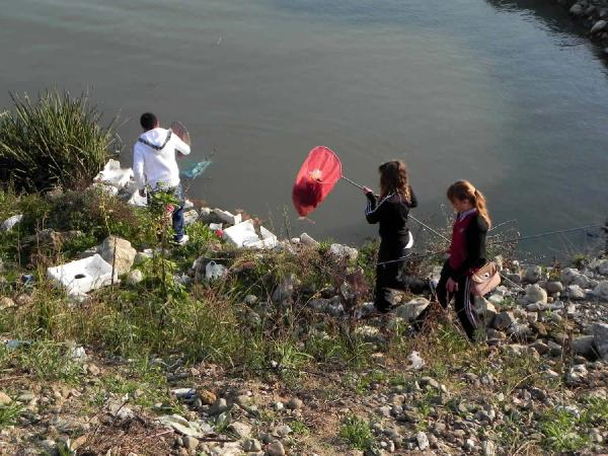 Üniversite Öğrencileri, Deniz Kıyısını Temizledi