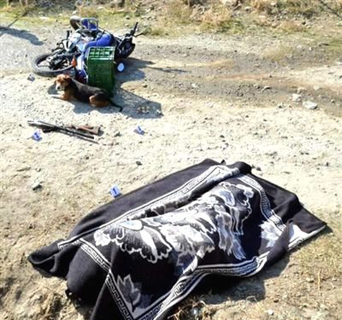 Avcı Kendini Vurdu, Köpeği Cesedin Başından Ayrılmadı