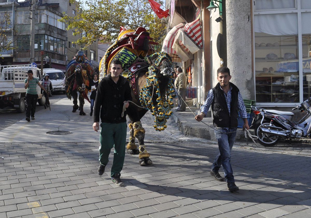Ayvacık\'ta Havut Hayrı Yapıldı