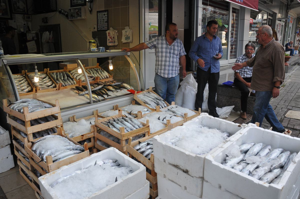 Karadenizde Hamsi Avı İçin Hava Sıcaklığının Düşmesi Bekleniyor