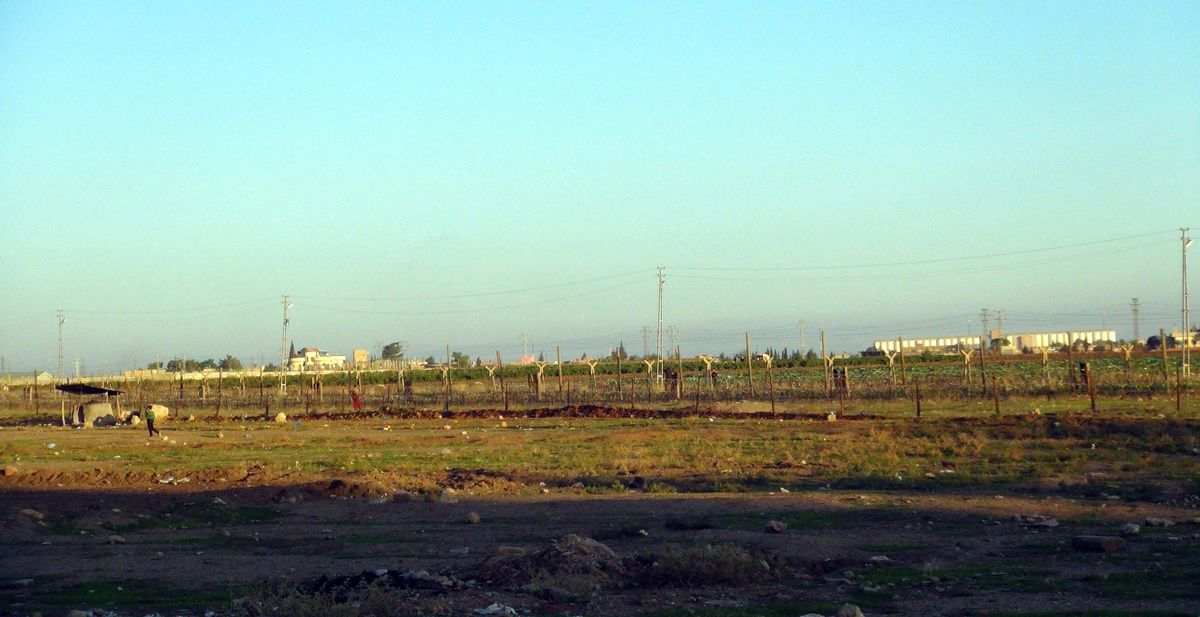 Nusaybin Sınırında Sessiz Bekleyiş