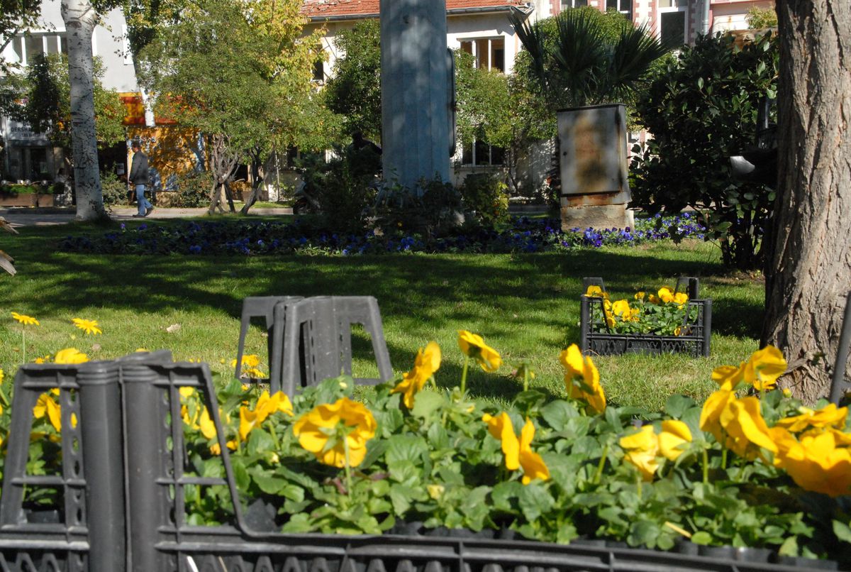 Peyzaj Çalışmaları Sürüyor