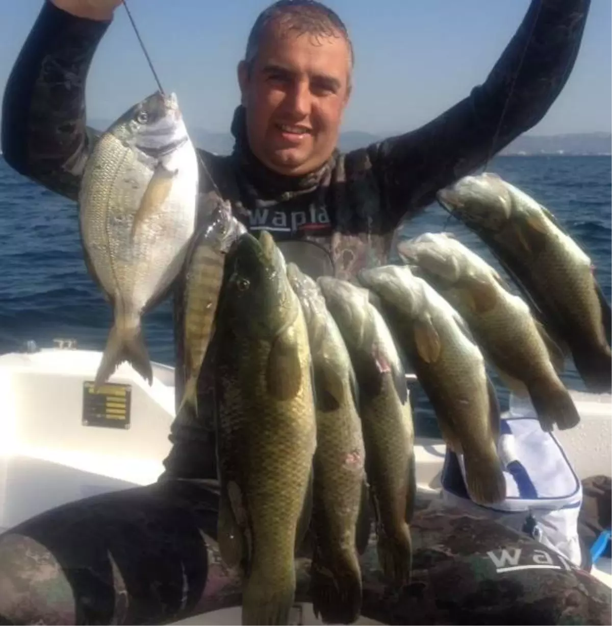 Körfez Serbest Dalışçıların Yeni Gözdesi