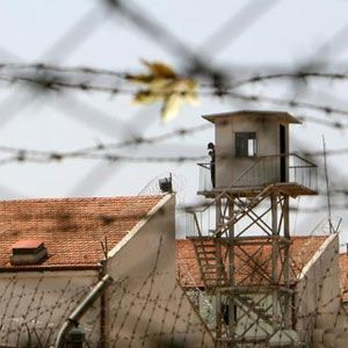 Muş\'ta 173 Tutuklu ve Hükümlü Açlık Grevini Sonlandırdı